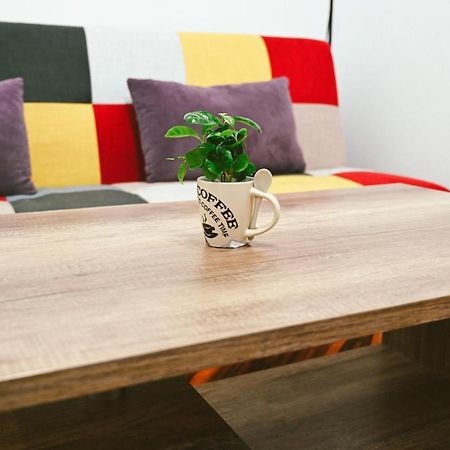 Cozy Apartment Brasov Luaran gambar