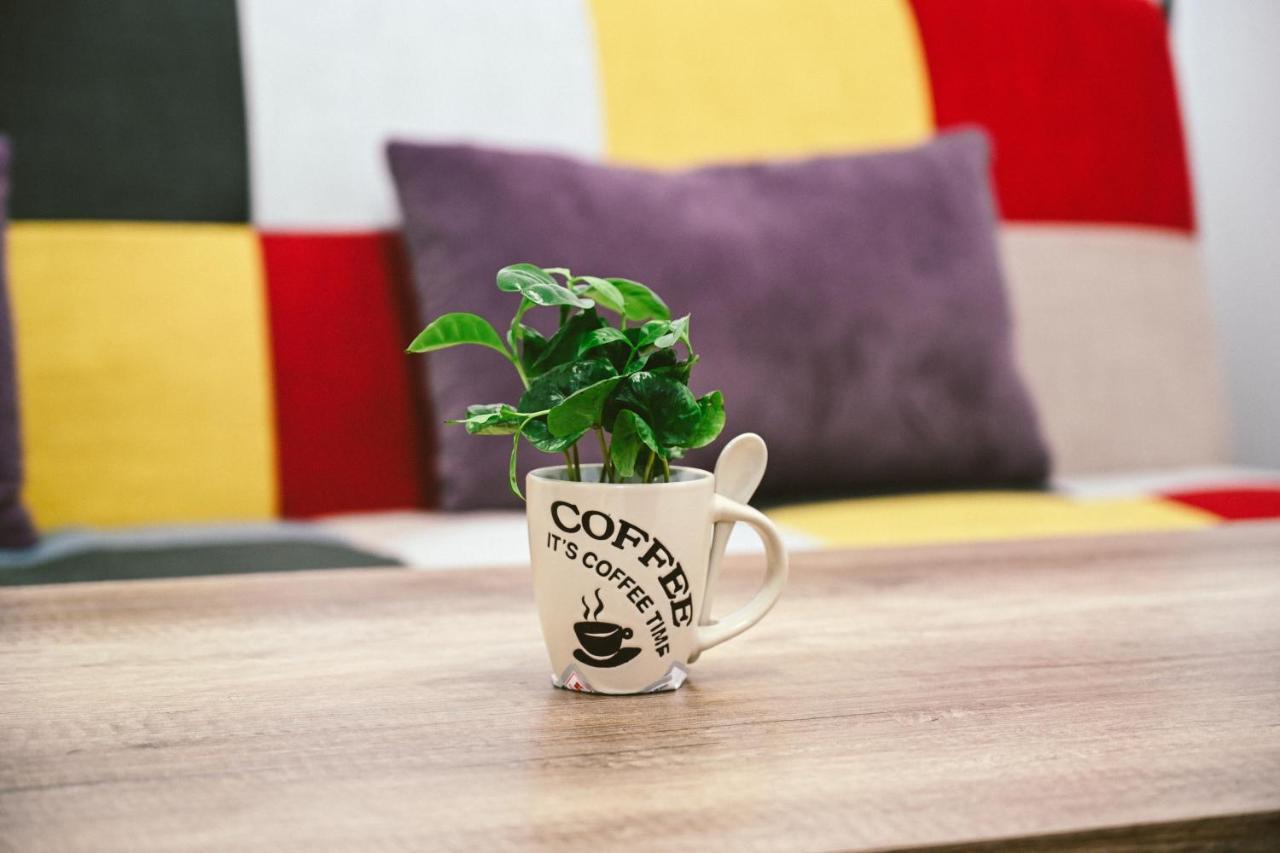 Cozy Apartment Brasov Luaran gambar